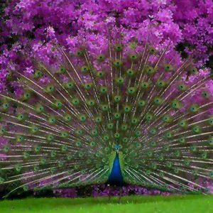 Meet your Posher, Jan